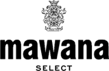 logo - Copy